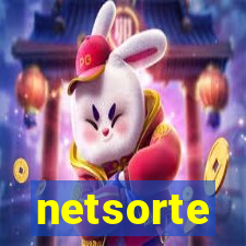 netsorte