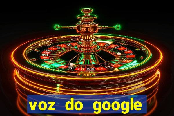 voz do google tradutor homem