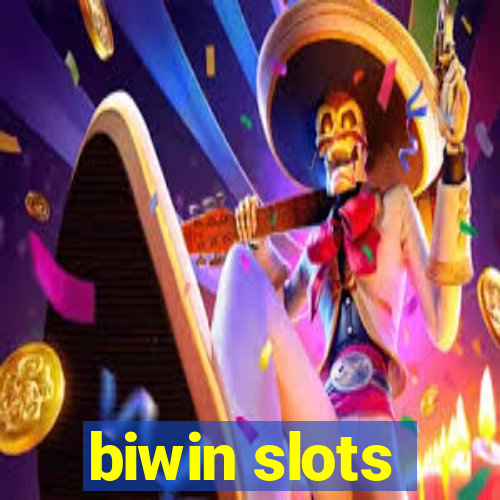 biwin slots