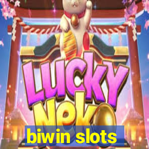 biwin slots