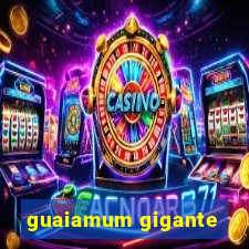 guaiamum gigante