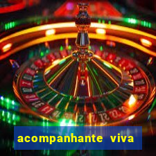 acompanhante viva local baixada fluminense