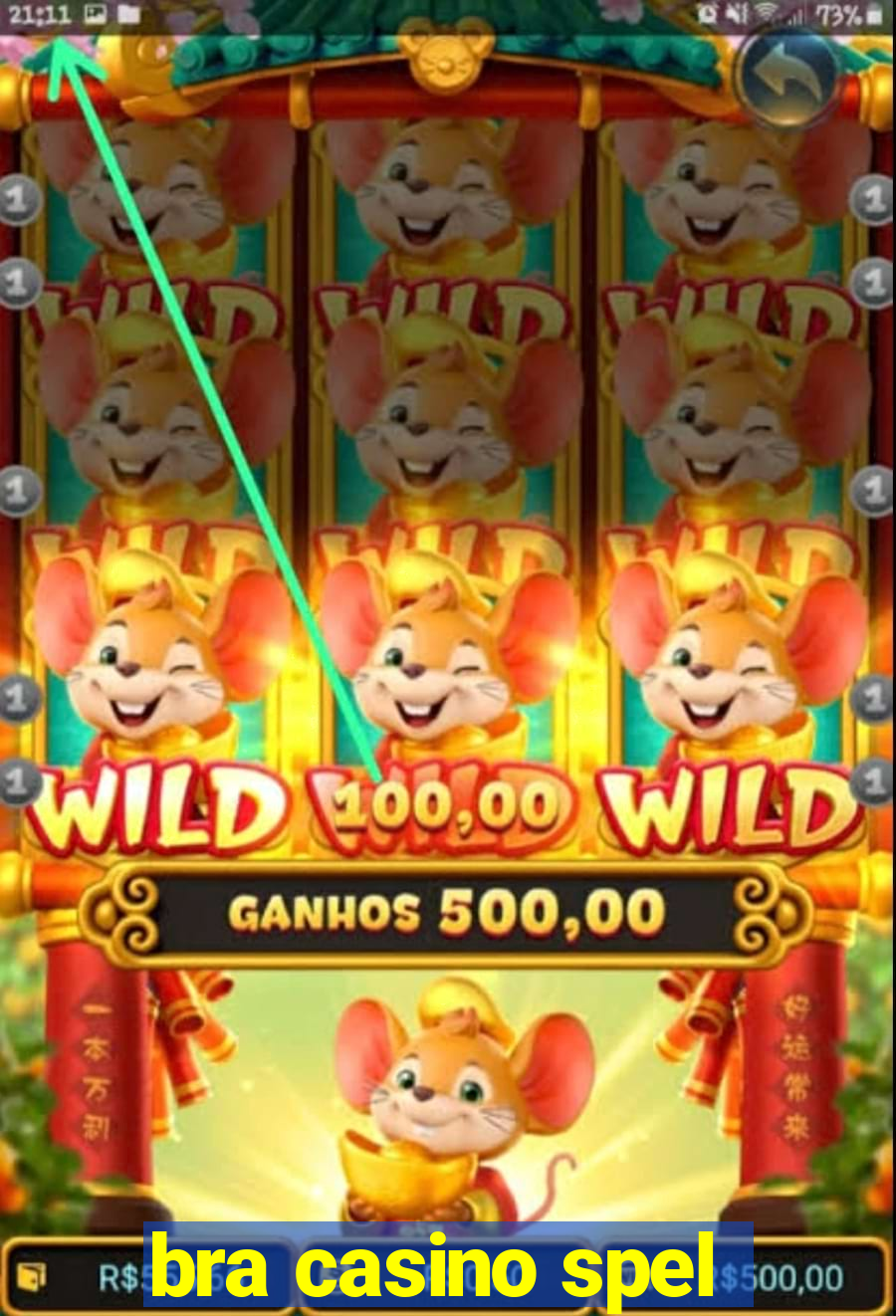 bra casino spel