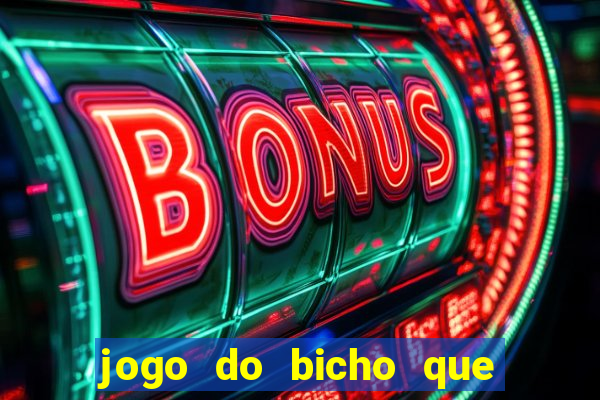 jogo do bicho que da dinheiro