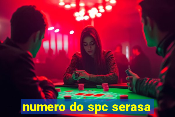 numero do spc serasa