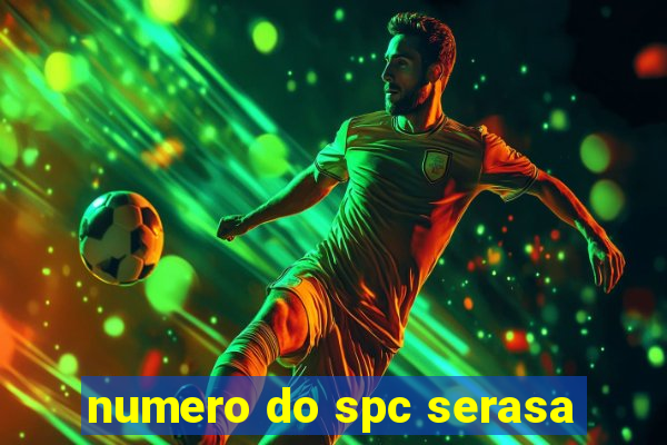 numero do spc serasa