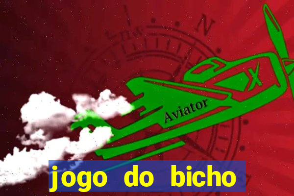 jogo do bicho online curitiba