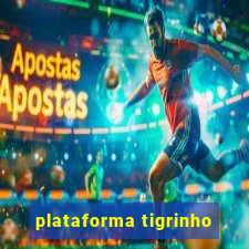 plataforma tigrinho