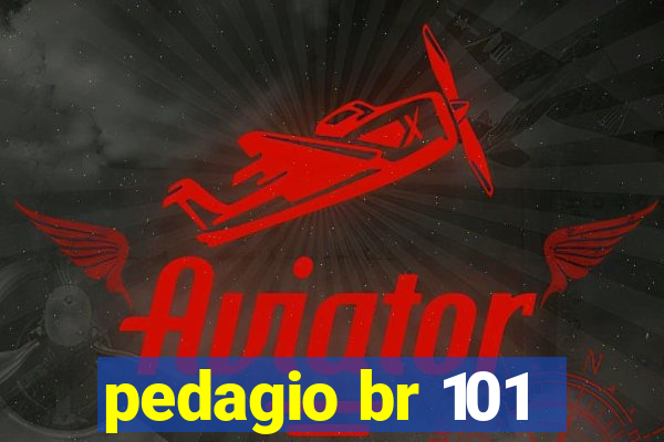 pedagio br 101