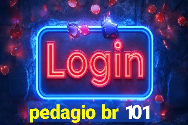 pedagio br 101