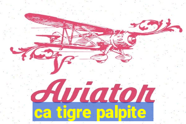 ca tigre palpite