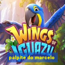 palpite do marcelo