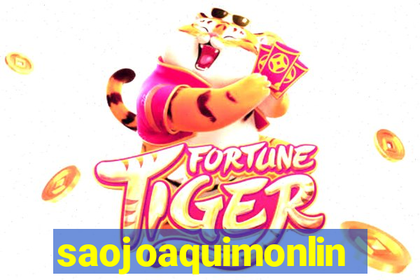 saojoaquimonline