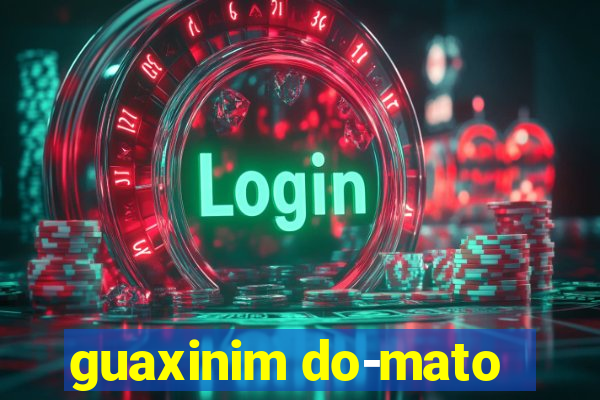 guaxinim do-mato