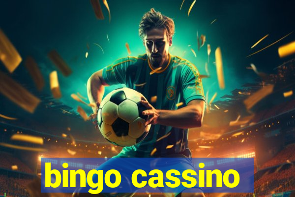 bingo cassino