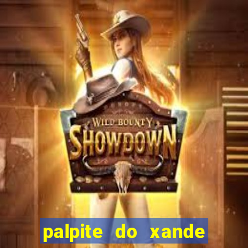 palpite do xande para hoje