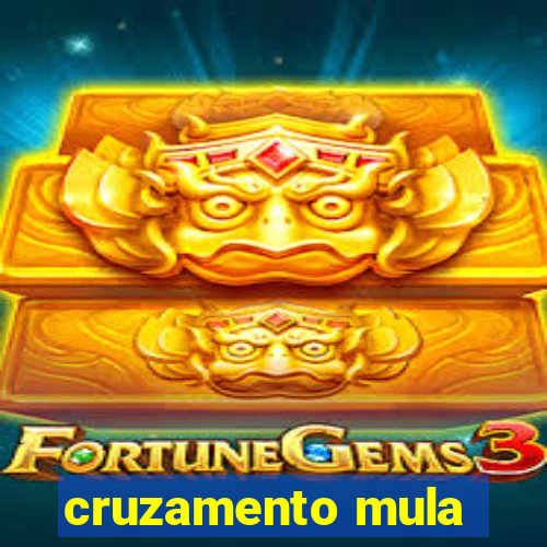 cruzamento mula