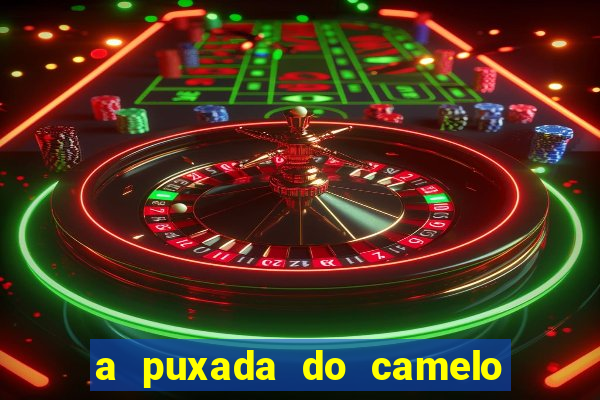 a puxada do camelo no jogo do bicho