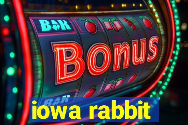 iowa rabbit