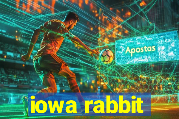 iowa rabbit