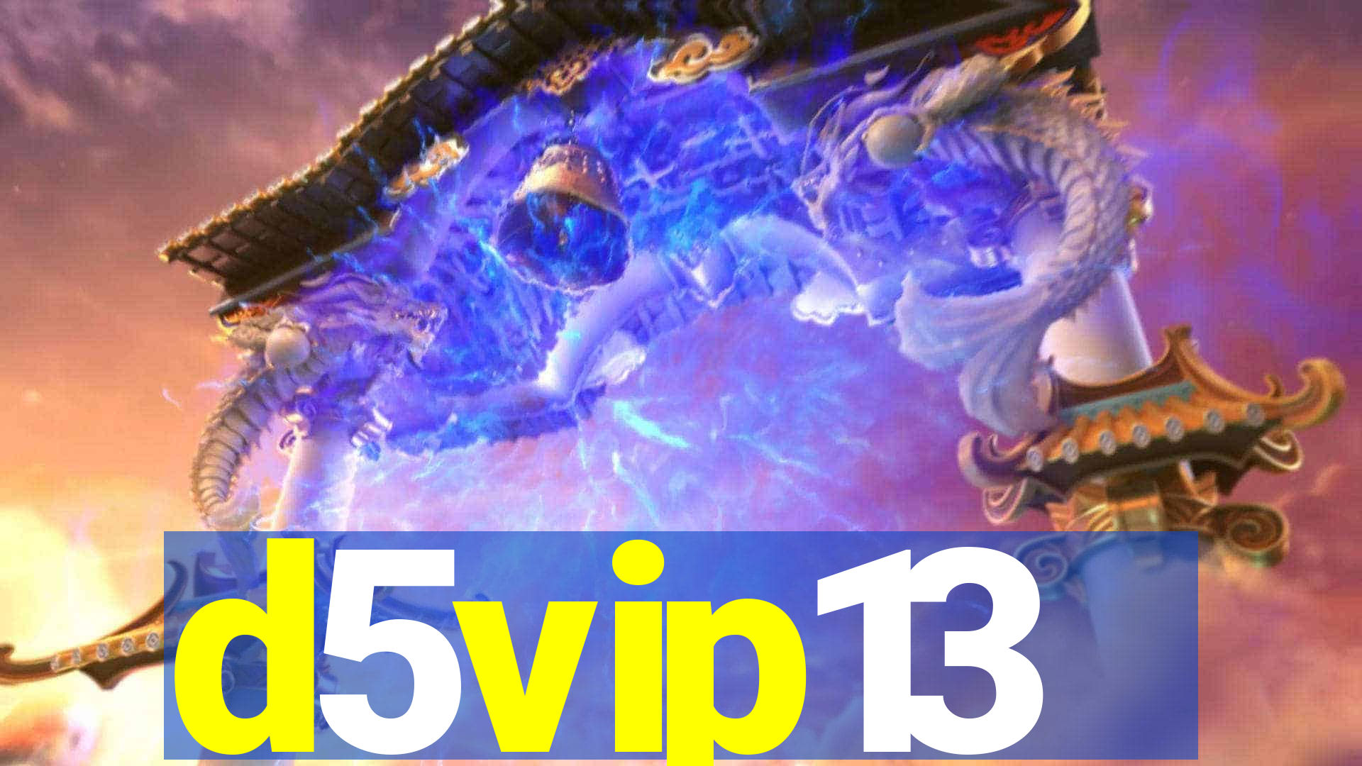 d5vip13