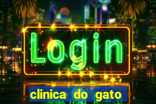 clinica do gato porto alegre