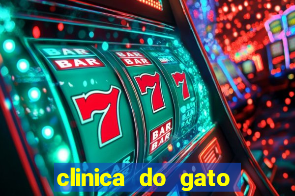 clinica do gato porto alegre