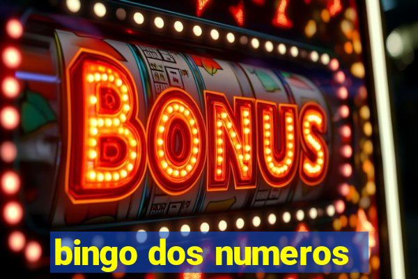 bingo dos numeros