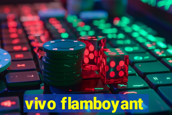 vivo flamboyant