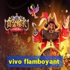 vivo flamboyant