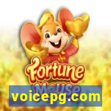 voicepg.com