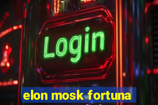 elon mosk fortuna