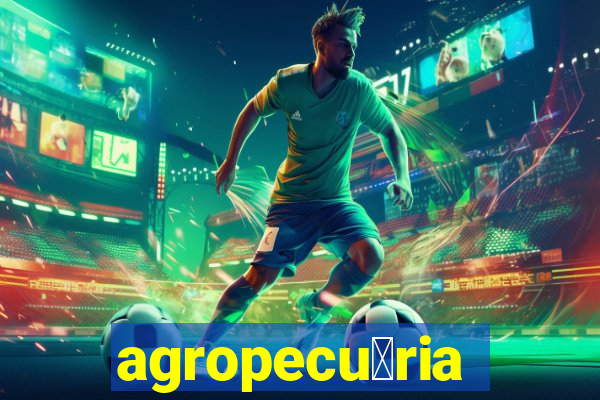 agropecu谩ria jaragua do sul