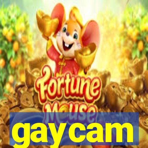 gaycam