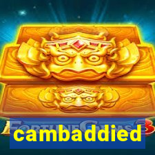 cambaddied