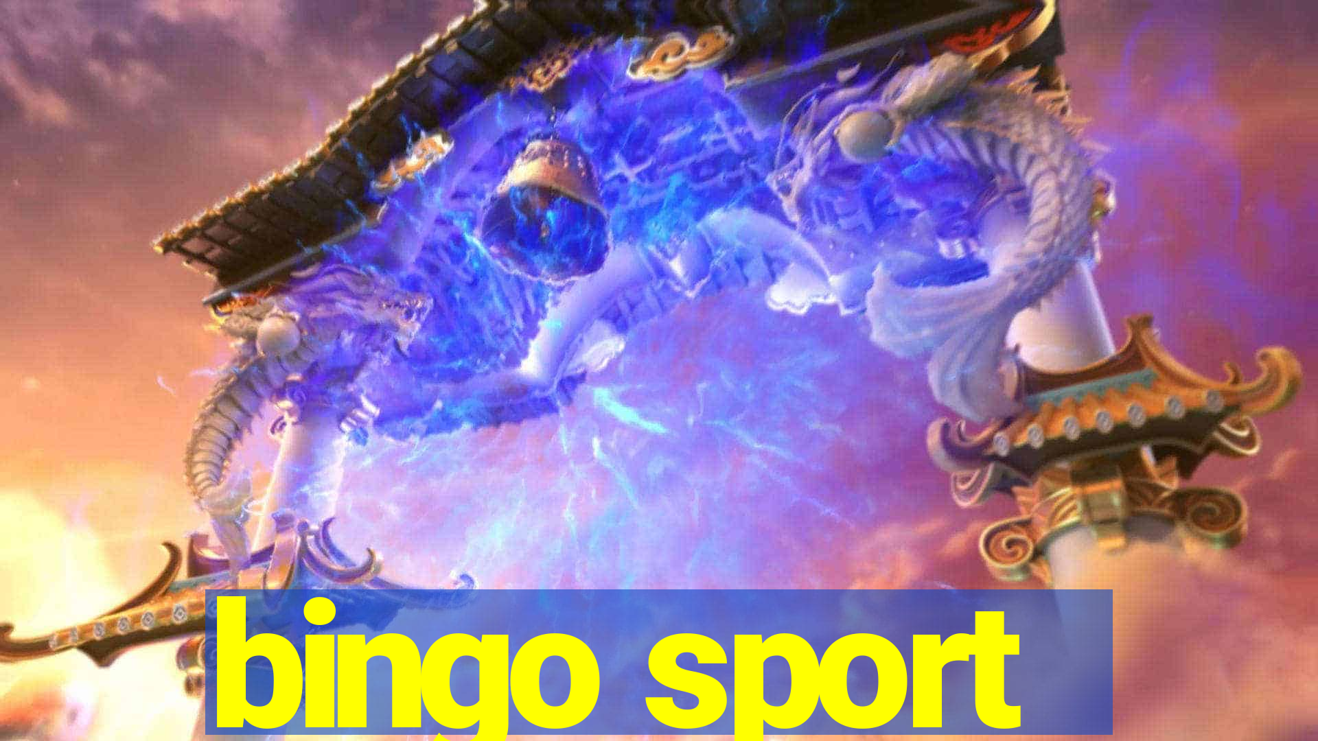 bingo sport