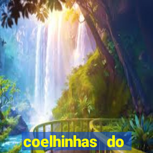 coelhinhas do brasil recife