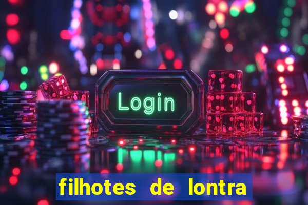 filhotes de lontra para vender