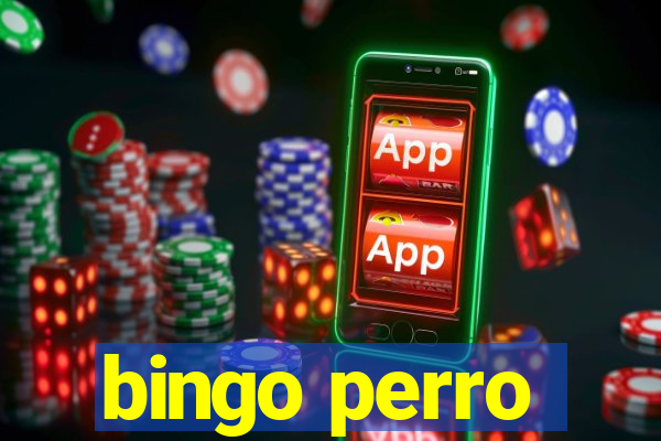 bingo perro