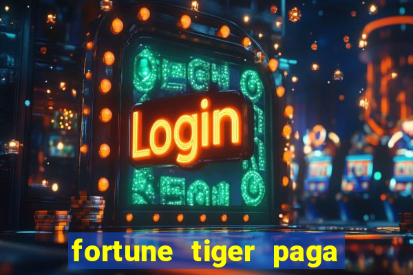 fortune tiger paga de madrugada