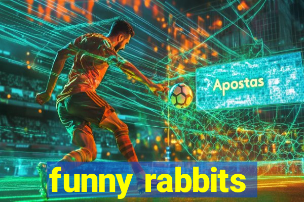 funny rabbits