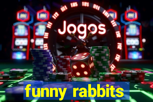 funny rabbits