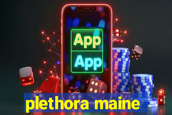 plethora maine