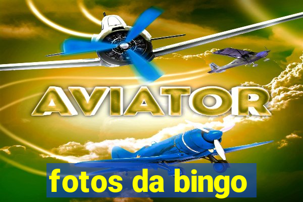 fotos da bingo