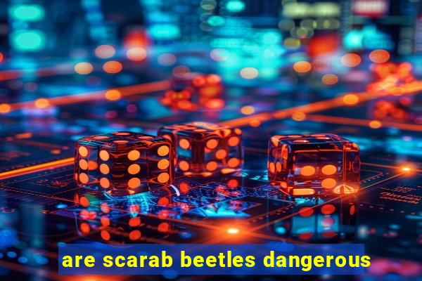 are scarab beetles dangerous