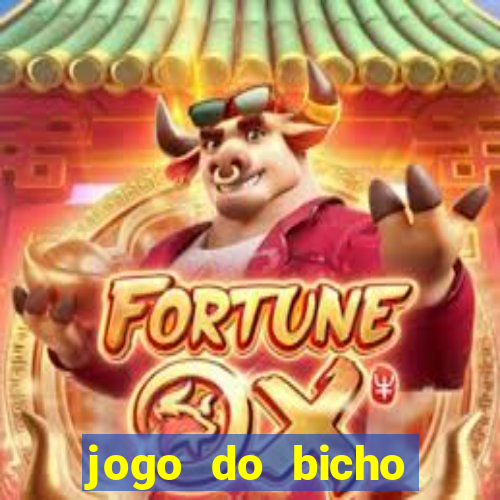 jogo do bicho natal rn