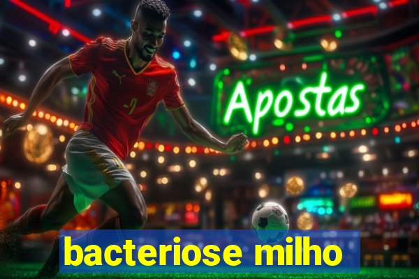 bacteriose milho