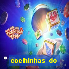 coelhinhas do brasil site