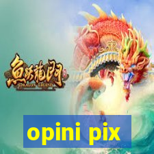 opini pix