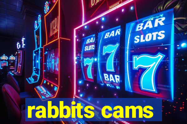 rabbits cams